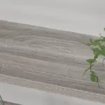 A close-up of a gray wooden tabletop with a green leafy plant on the right, perfect for displaying 04.01.C_结果 OEM or ODM products in a modern, natural setting.