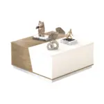 Square Coffee Table with Storage, White and Rustic Oak_10